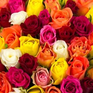 Meet your Posher, Marieme